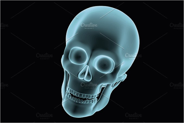 3D Printed Skull Design