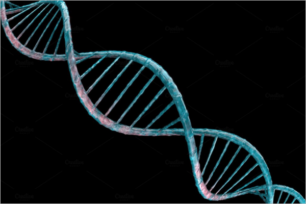 3D Rendering DNA Design