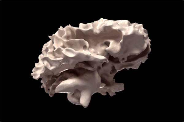 Best Brain 3D Design