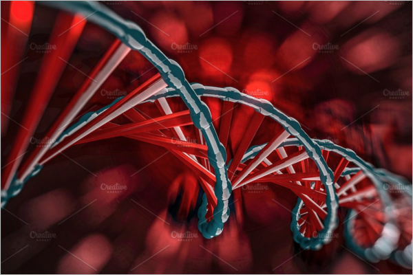 DNA Structure 3D Model