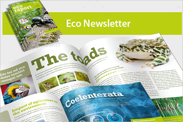 Eco Newsletter Brochure Template