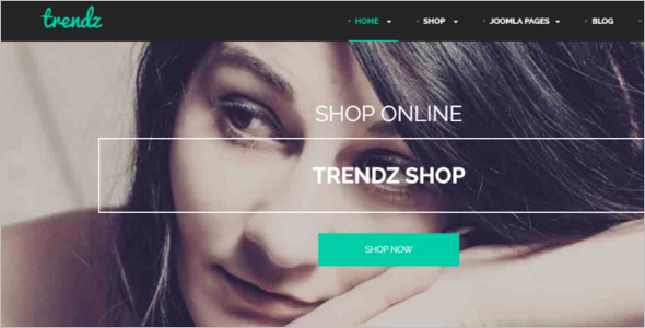 Exciting Ecommerce Joomla template