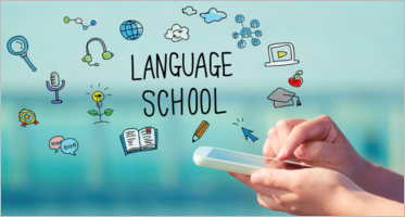 Free School Joomla Templates