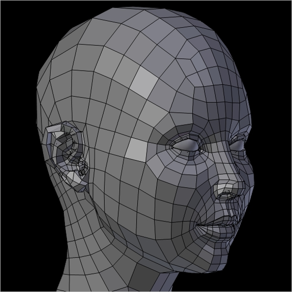 Â Human Head Mesh 3D Model