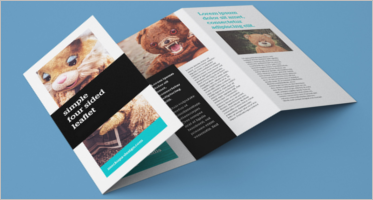 Leaflet Brochure Designs