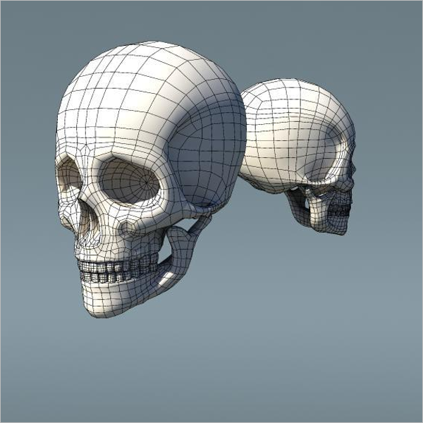 Mesh Type Skull Design