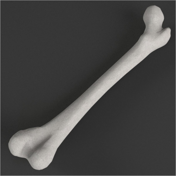 PhotoRealistic 3D Model