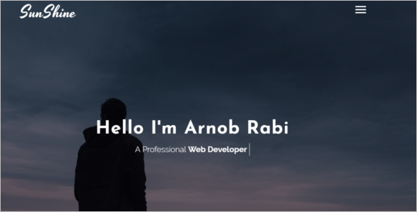 Professional Website Template