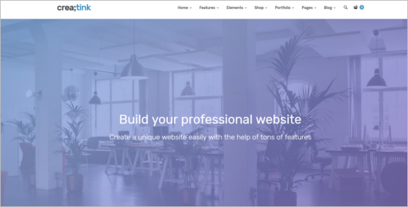 Professional WordPress Theme