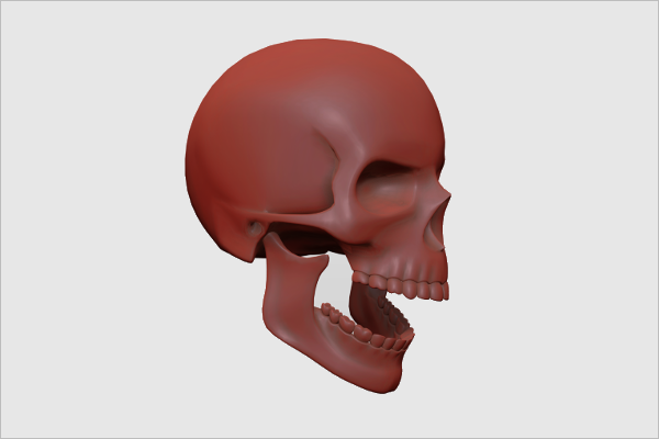 Reality Skull 3D Design