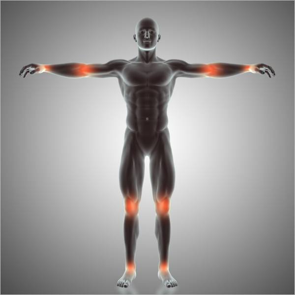 Sample Body Joint 3D Design