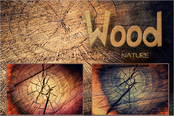 Tree Background Nature Texture