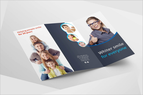 Tri-Fold Brochure Vector Design