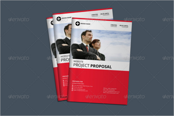 Web Proposal Presentation Template