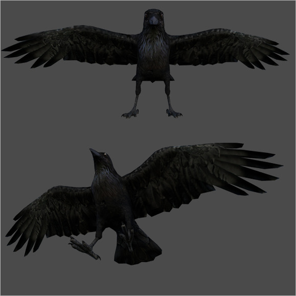 3D Maya Bird Model