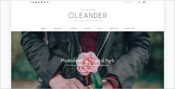 Best Blog Theme