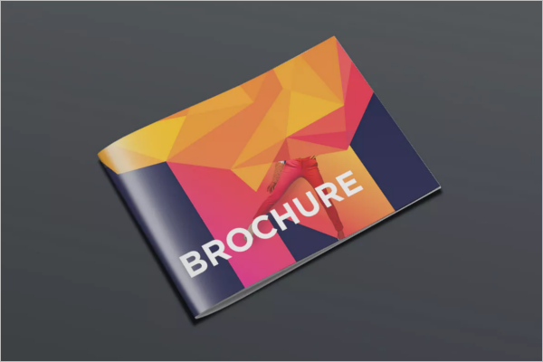 Best Brochure Template