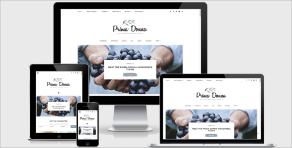 Blog Elegant Theme