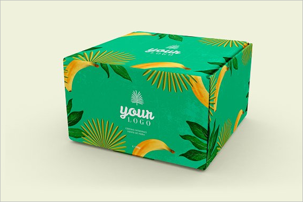 Box Design Vector