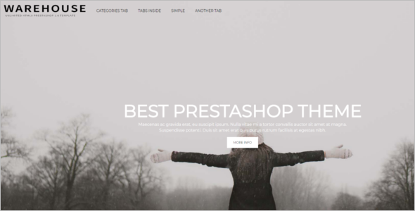 Most Popular Prestashop Themes