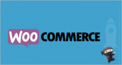 46+ Most Popular Woocommerce Themes
