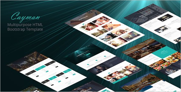 Multi Concept Bootstrap Template