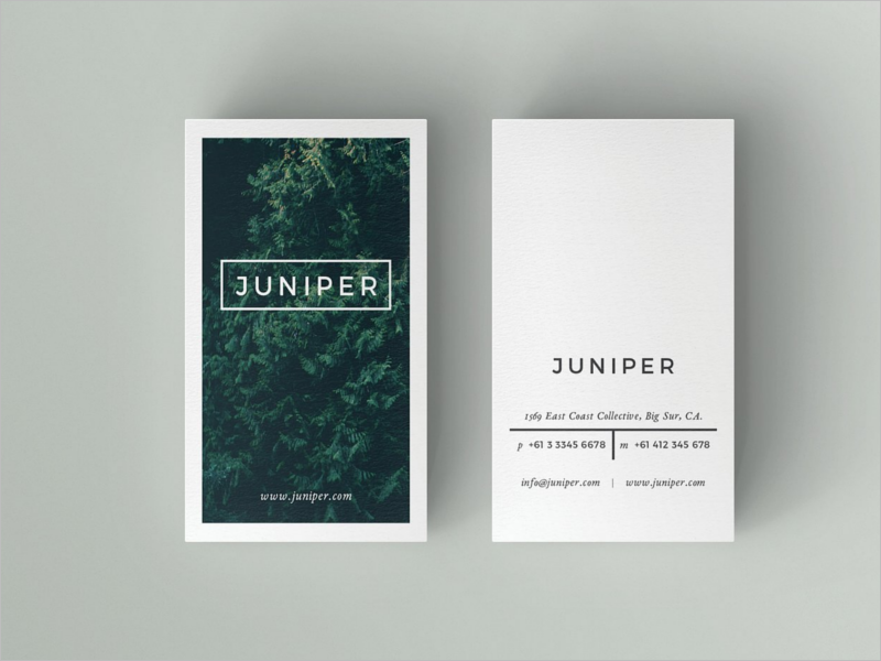 Realistic Business Card Template