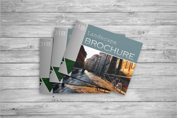 Set Of Brochure Mockup Design