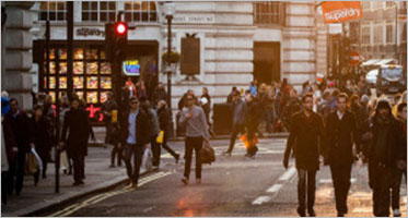 Business WordPress Themes