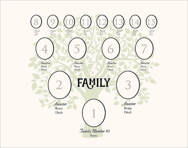 4 Generation Family Tree Digital Template
