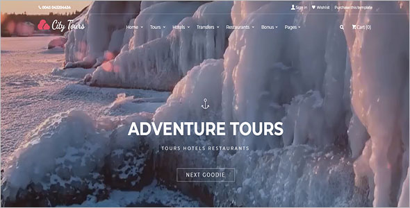 Attractive Tours HTML Website Template