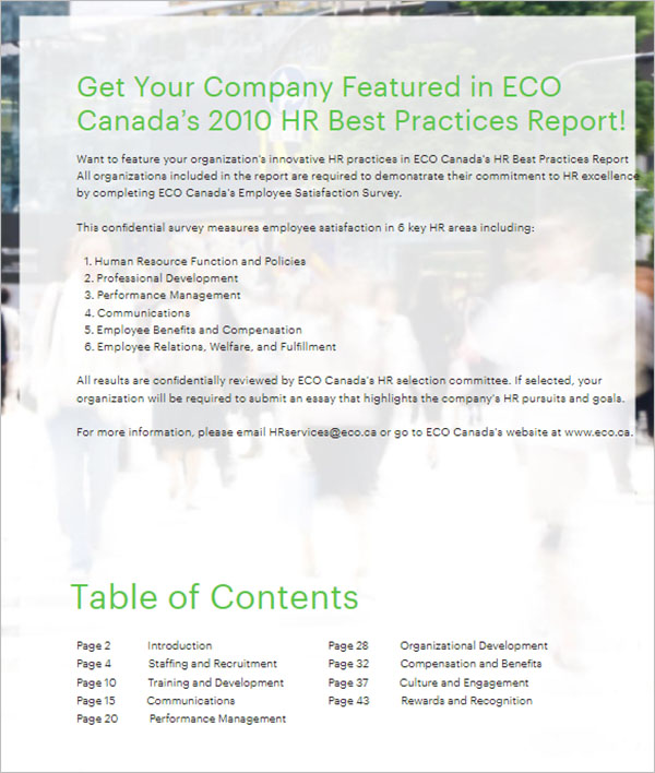 Best HR Report Template