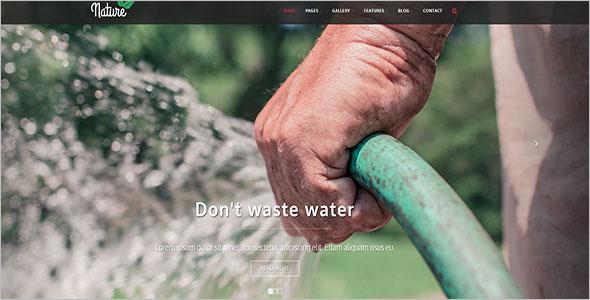 Bootstrap Template For NGO