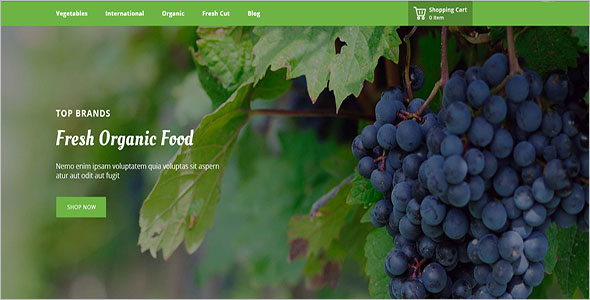 EcoOrganic Prestashop Responsive Theme