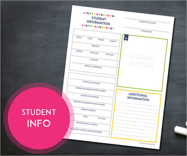 Grade Book Template For Student