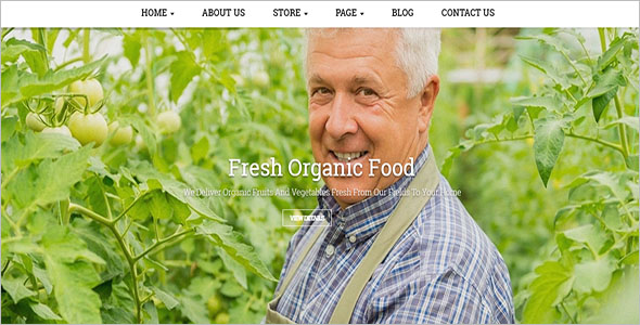 Joomla Template for Organic Food