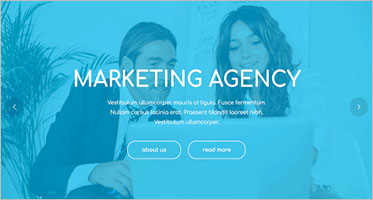 Marketing Agency WordPress Themes