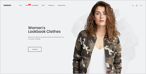 Modern Fashion Magento Theme