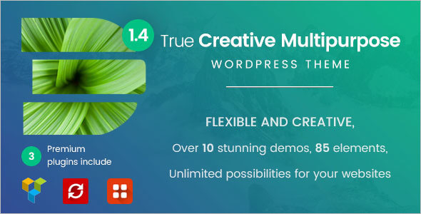 Most Popular WordPress Theme