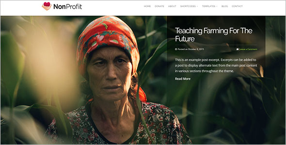 Multiple Non-Profit Bootstrap Template