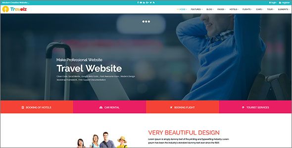 Professional Travel HTML Template