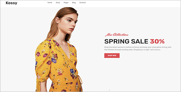 Retail Store Blog Theme