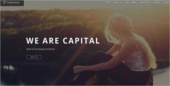 29+ Static HTML Templates Free Website Themes