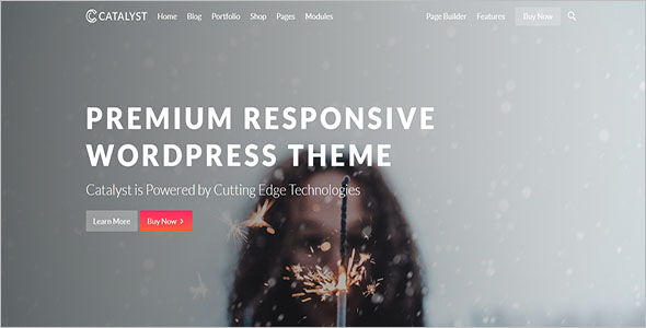 Ultimate WordPress Theme