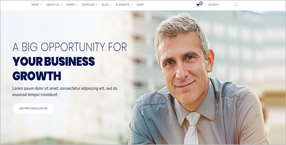 WordPress Theme For Small Business
