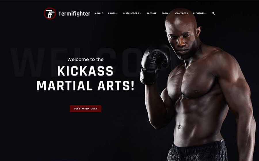 Mma WP Theme 