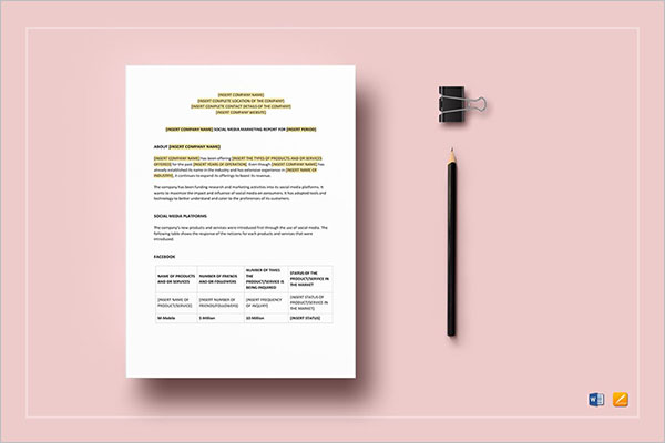 Best Social Media Report Template