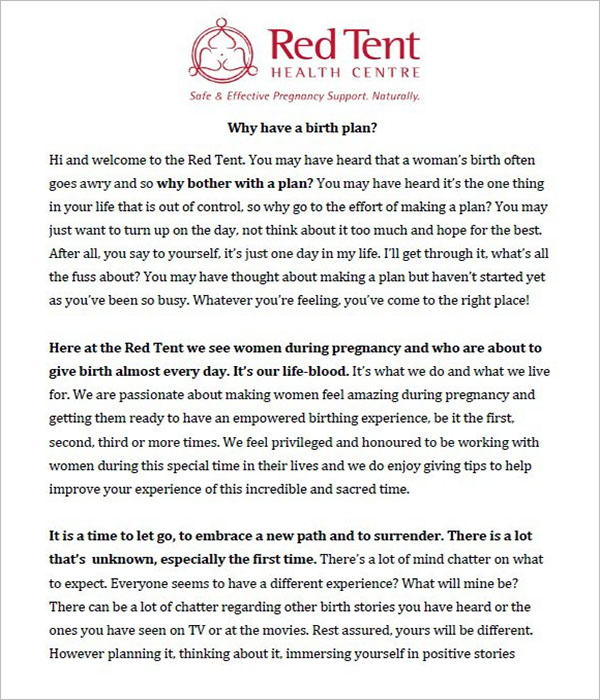 Birth Plan Template PDF