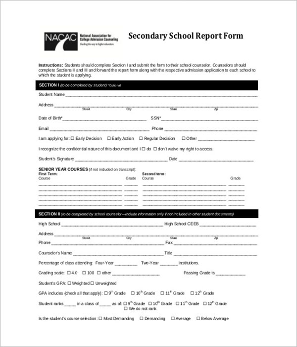 Daily School Report Template