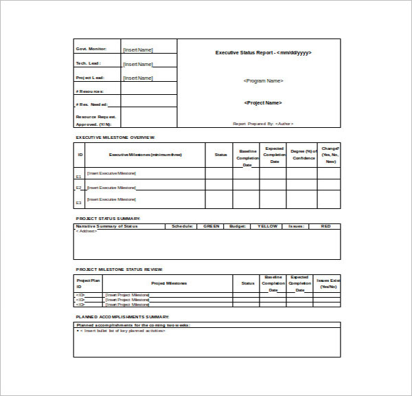 Executive Report Sample Template